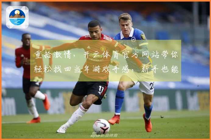 重拾激情，开云体育官方网站带你轻松找回当年游戏手感，新手也能秒变大神