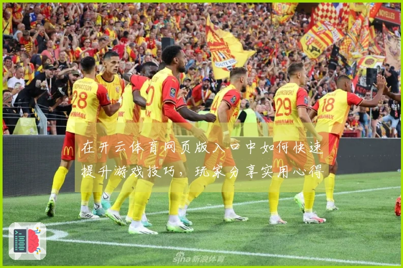在开云体育网页版入口中如何快速提升游戏技巧，玩家分享实用心得与经验